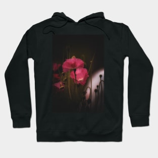 Poppies Hoodie